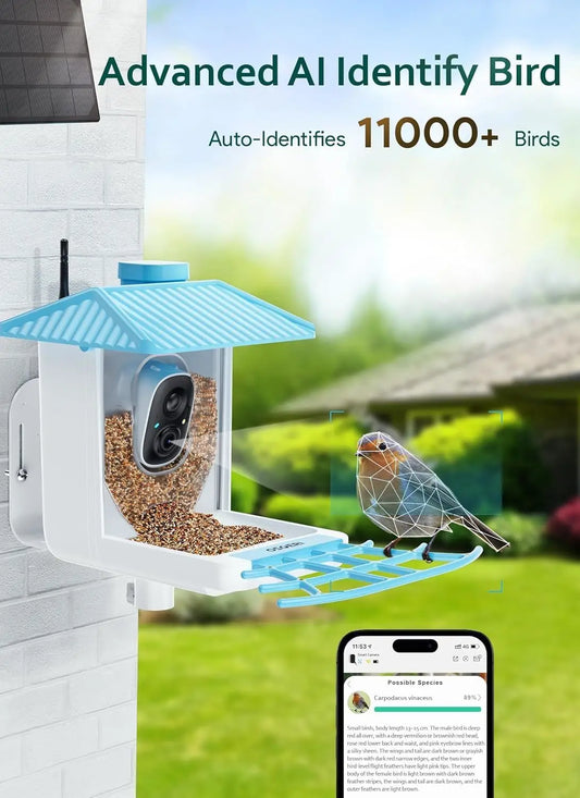 Smart Solar Bird Feeder with AI Camera, 1080P HD Auto Capture, Real-Time Alerts, WiFi Connected - Perfect Gift