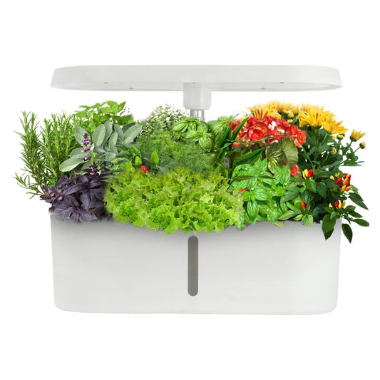 Home Smart Hydroponic Vegetable Grower Soilless Hydroponic Flower Growing System Fully Automatic Vegetable Growing System
