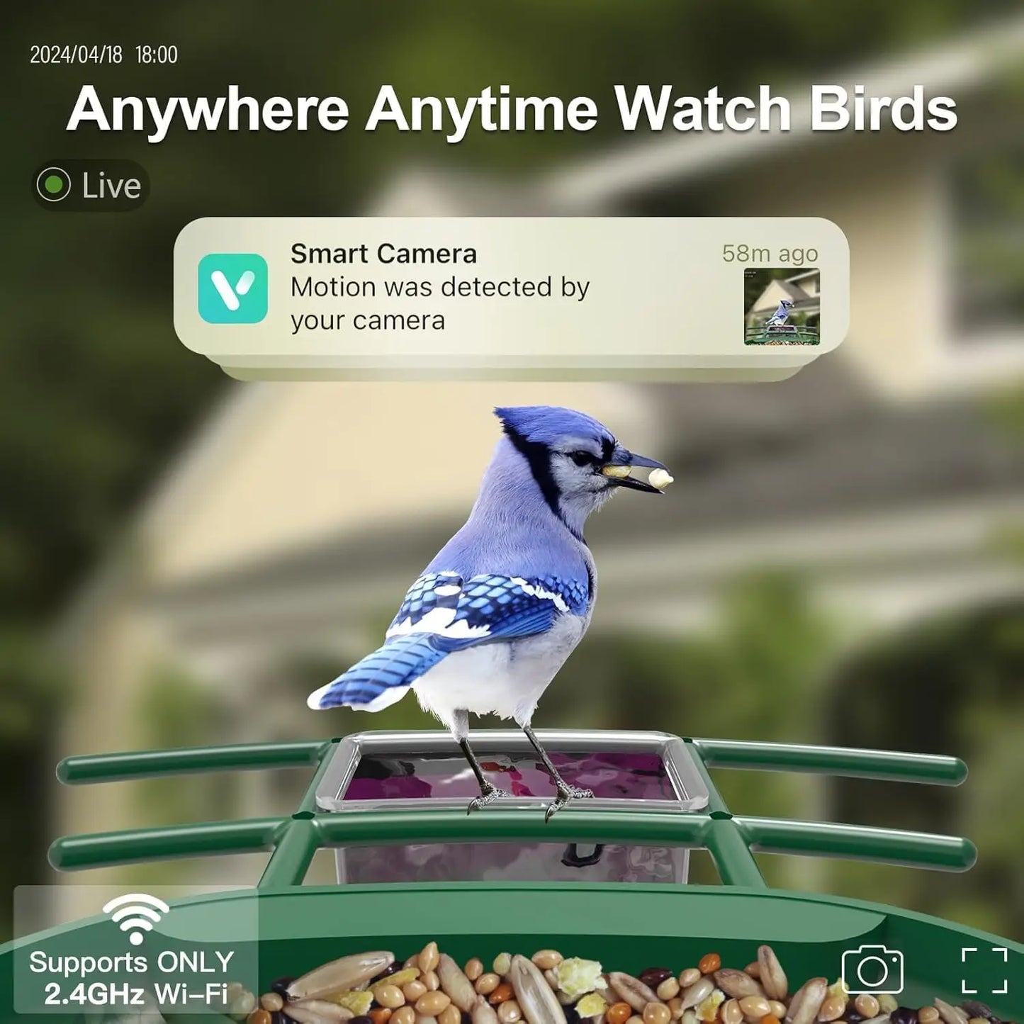 Solar Powered Bird Feeder with 2K Camera: AI Identify, Auto Capture Videos & Pictures, WiFi for Backyard Bird Watching