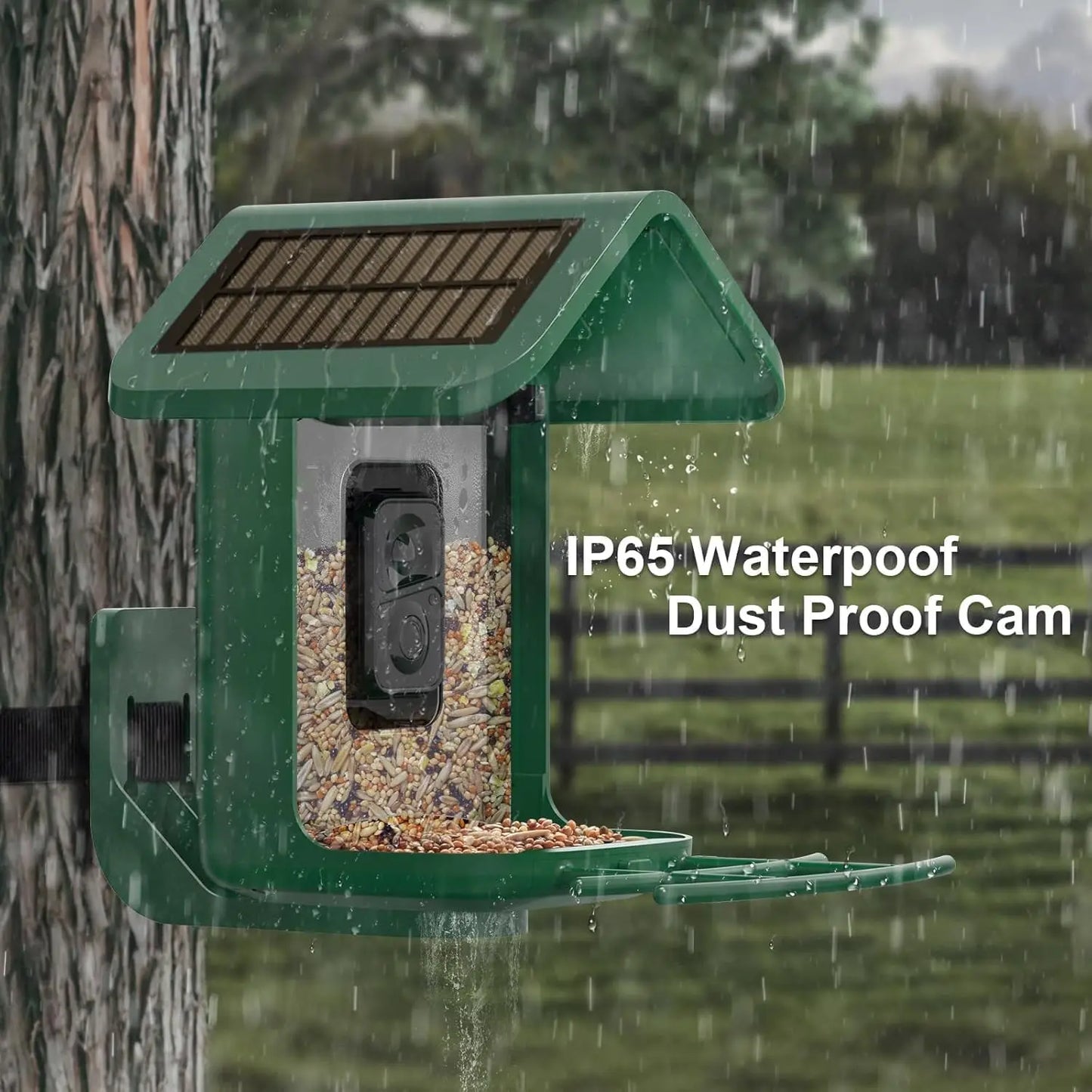 Solar Powered Bird Feeder with 2K Camera: AI Identify, Auto Capture Videos & Pictures, WiFi for Backyard Bird Watching