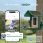 Solar Powered Bird Feeder with 2K Camera: AI Identify, Auto Capture Videos & Pictures, WiFi for Backyard Bird Watching