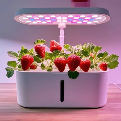 Home Smart Hydroponic Vegetable Grower  Soilless Hydroponic Flower Growing System  Fully Automatic Vegetable Growing System