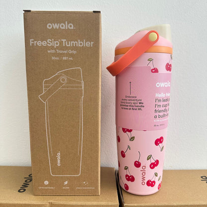 Stainless Steel Insulated Cup with Straw and Handle